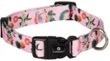 DOG COLLAR SM 30-45cm – 15mm