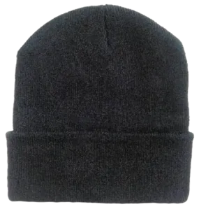 Economy Black Beanie