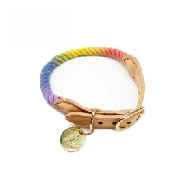 Tinklylife - Rainbow Collar