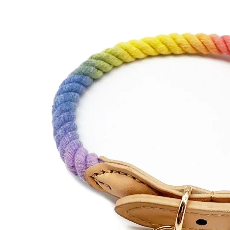 Tinklylife - Rainbow Collar