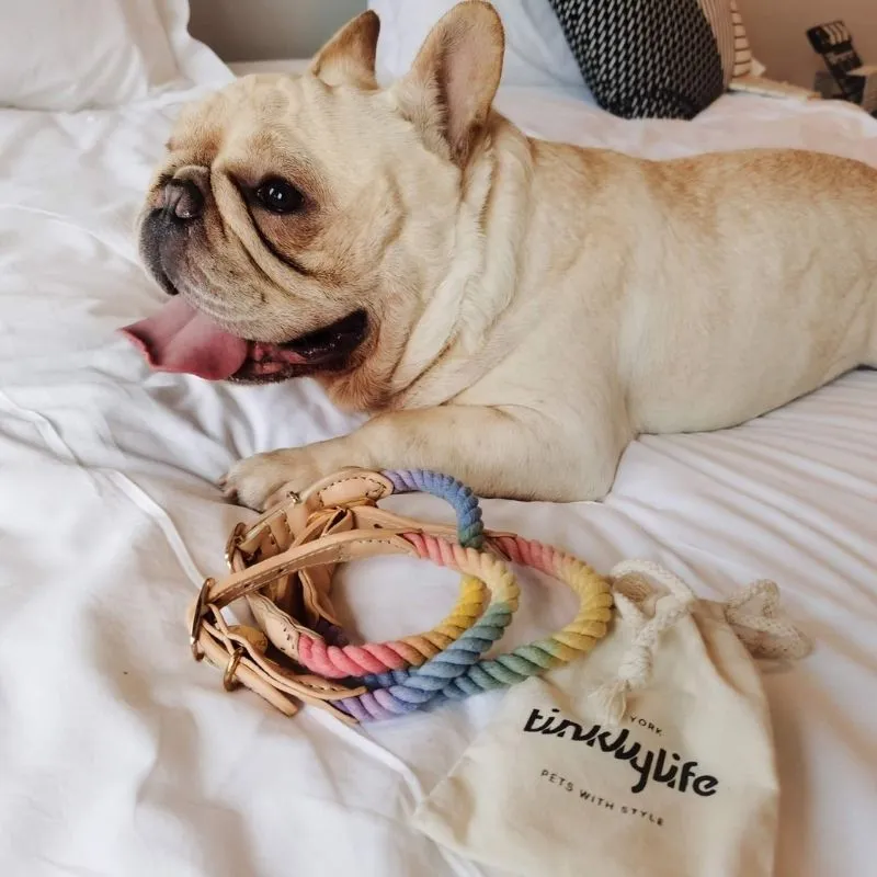 Tinklylife - Rainbow Collar